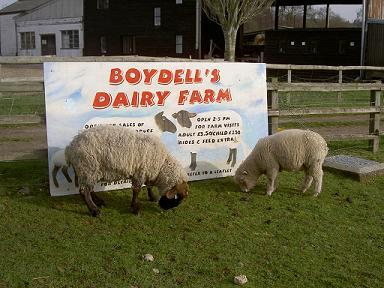 Boydells Dairy Farm